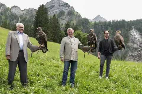 Alpine Eagles