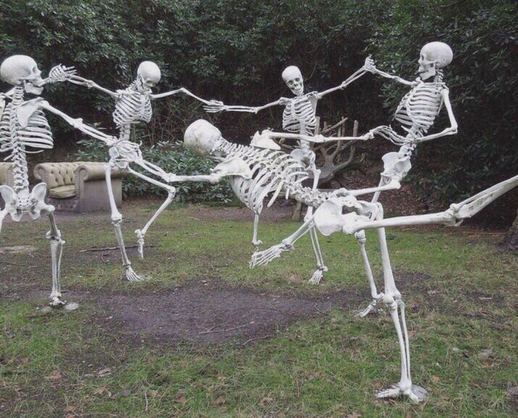 Skeleton Squad