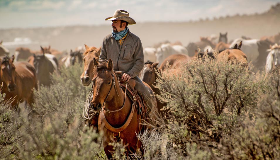 The Cowboy Cartel