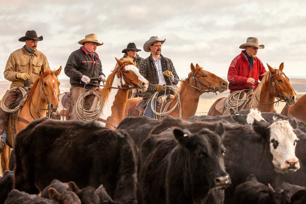 The Cowpoke Posse (cowboy team)