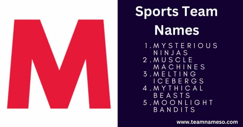 Sports Team Names