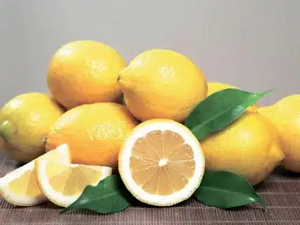 The yellow Lemon