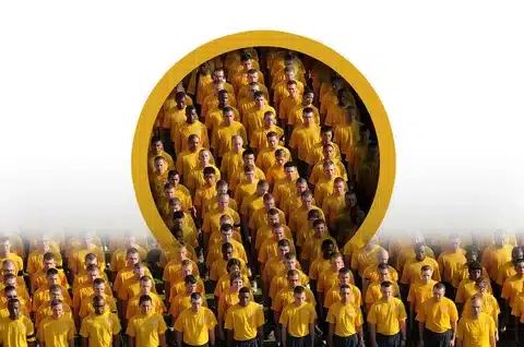 The Yellow Unity Ensemble