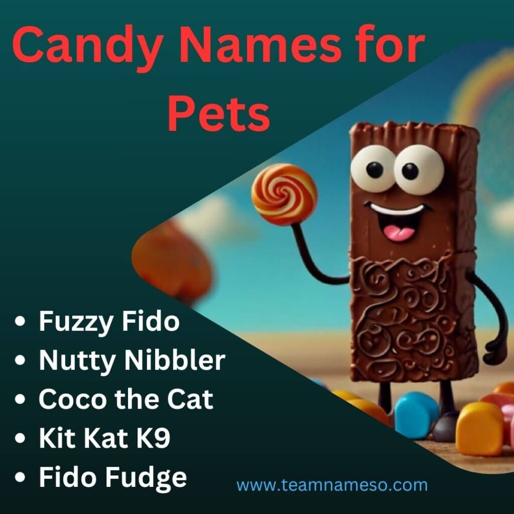 Candy Names for Pets