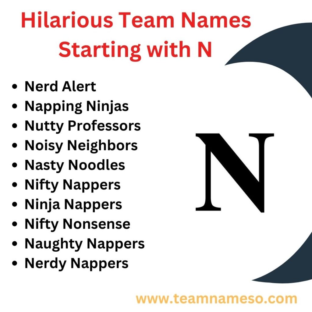 Hilarious Team Names Starting with N